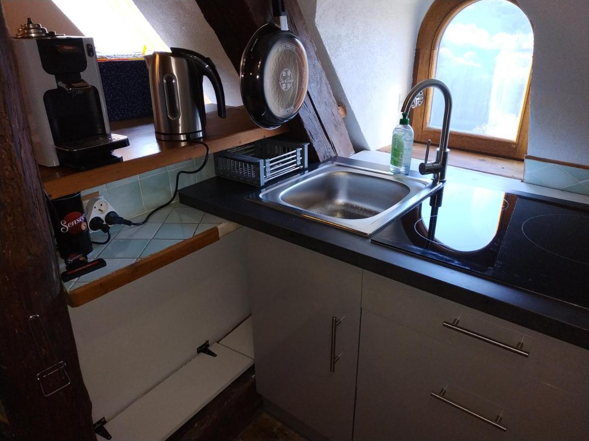 Appartement Chateau Uriage-Chamrousse Saint-Martin-d'Uriage Bagian luar foto